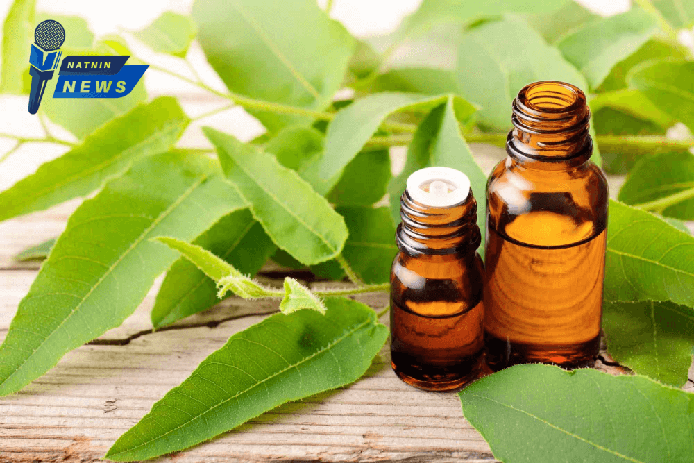 5 Amazing Benefits of Oil of Lemon Eucalyptus Oil for Health and Wellness