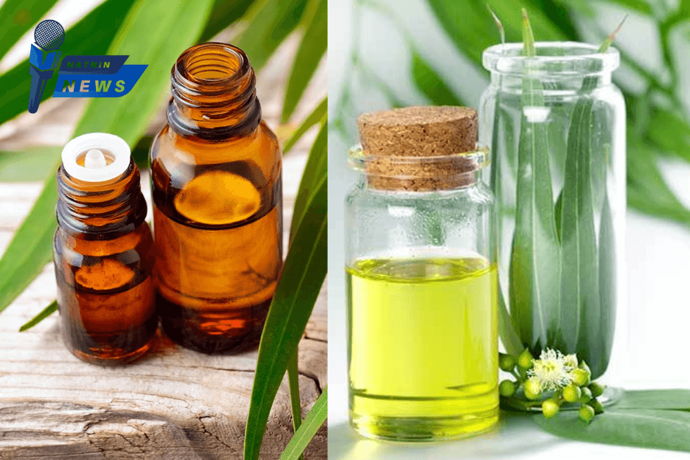 How to Use Oil of Lemon Eucalyptus Oil